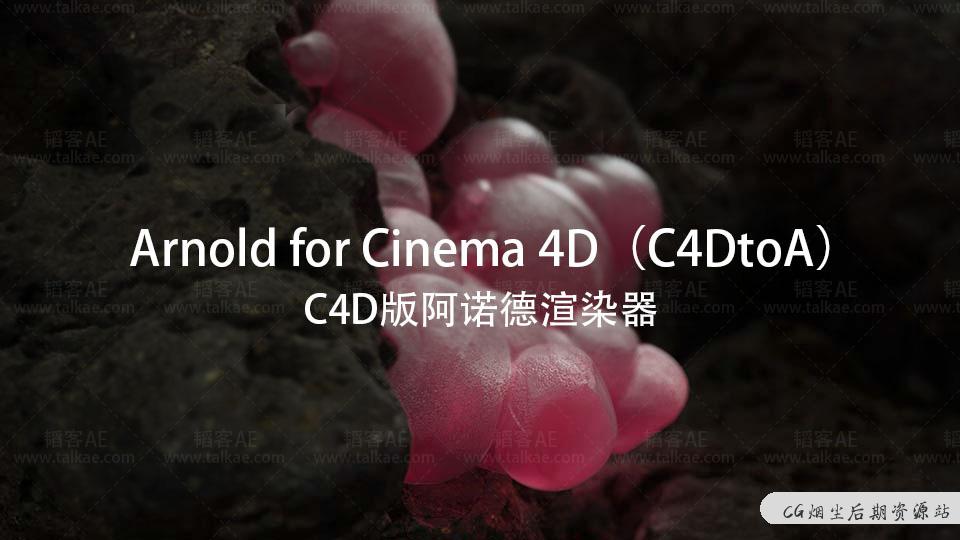 C4D阿诺德渲染器 Arnold 3.1.1 for Cinema 4D R20-R23 Arnold-第1张